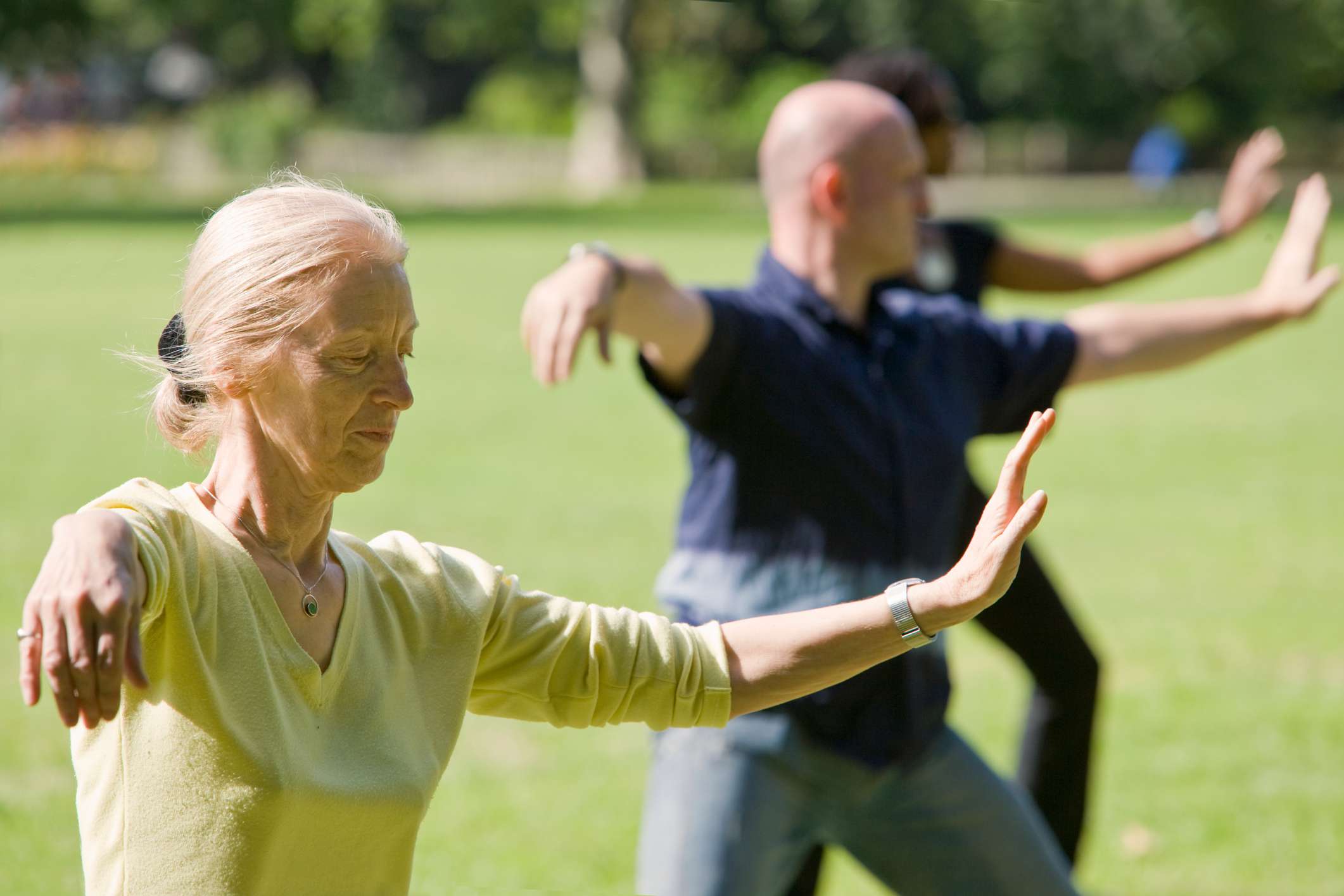 maak kennis en ontdek tai chi