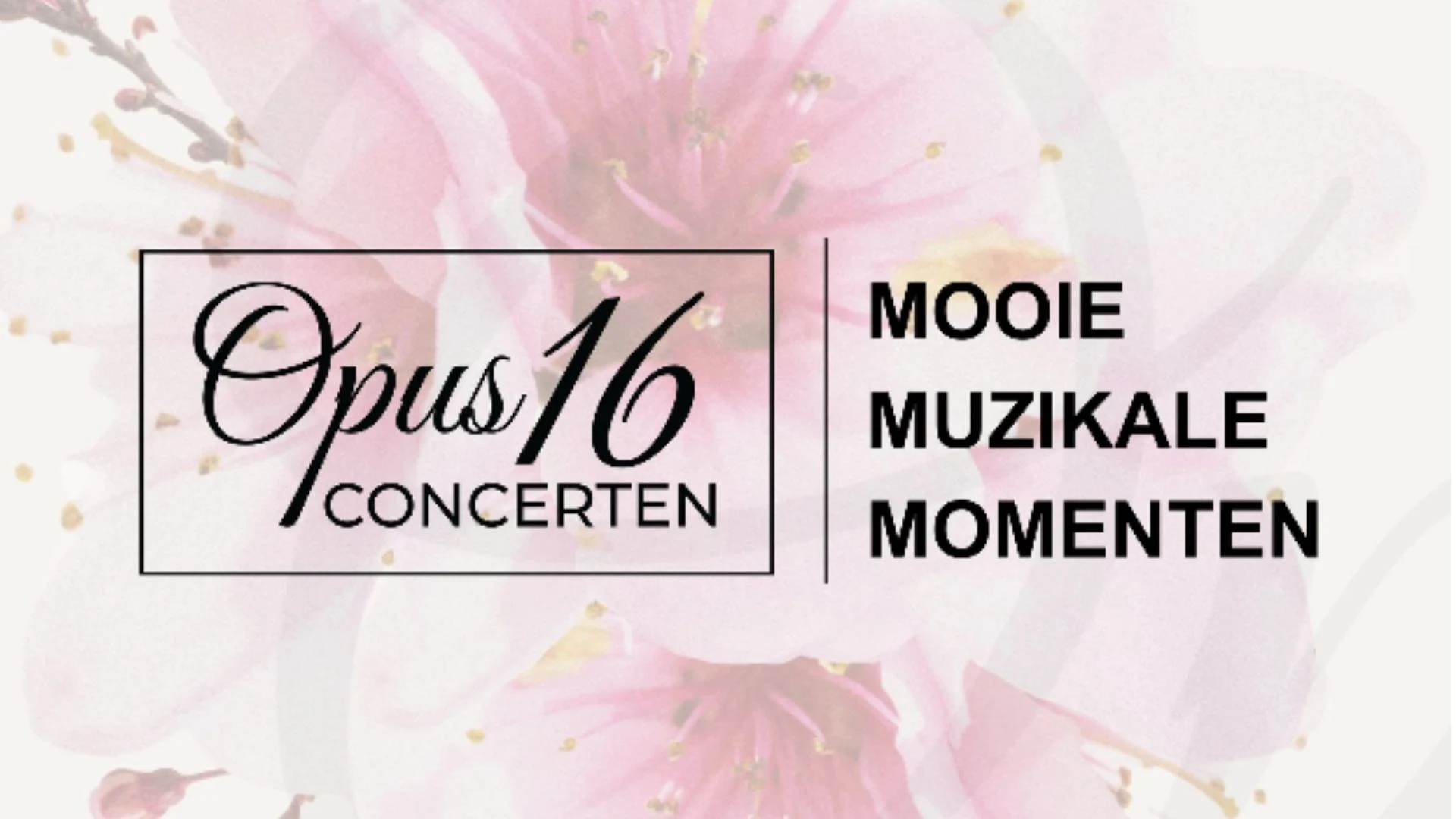 Opus 16 Klassieke kamerconcerten in Heythuysen