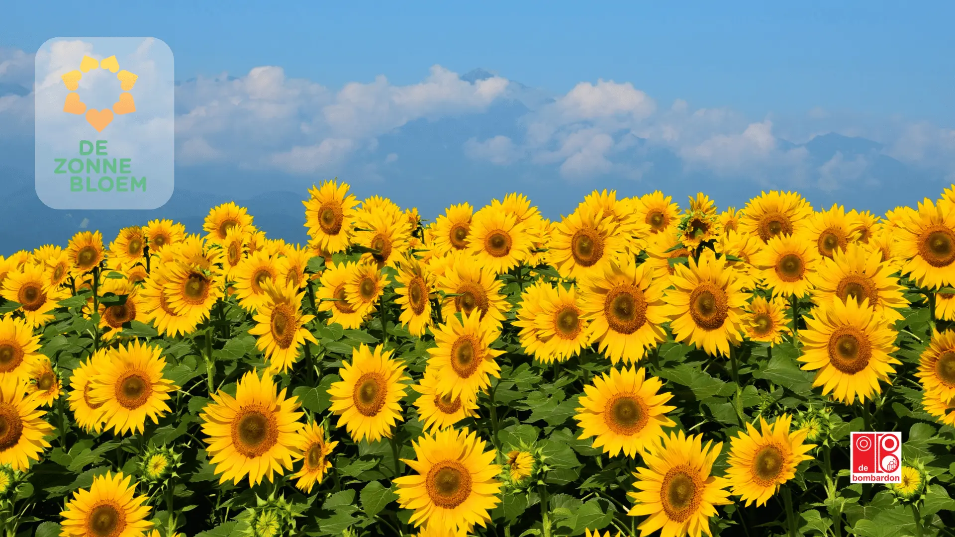 De Zonnebloem Heythuysen